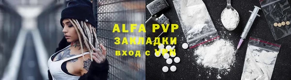индика Аркадак
