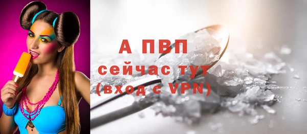 ECSTASY Армянск