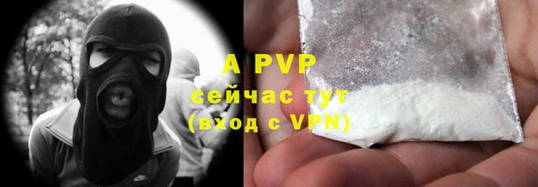 индика Аркадак
