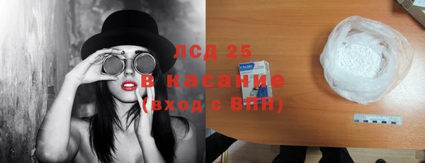 индика Аркадак