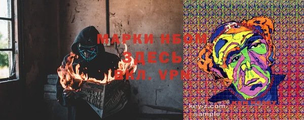 ешки Арсеньев