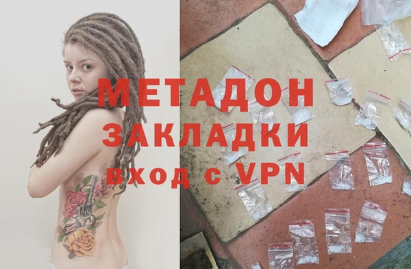 индика Аркадак