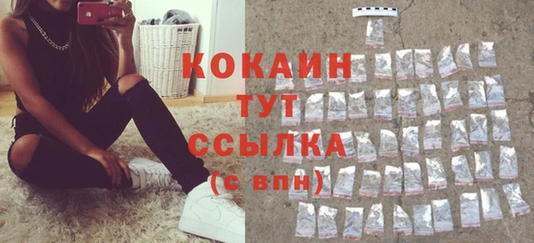 индика Аркадак