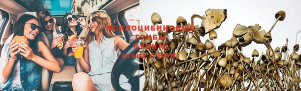 индика Аркадак