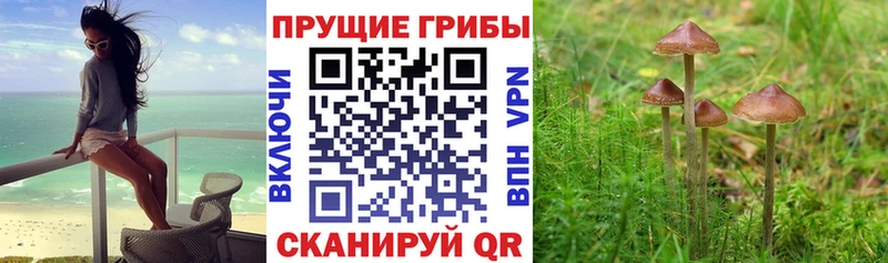 Галлюциногенные грибы мухоморы  Усть-Лабинск 